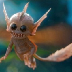 Nie przyjaźnię się z dziwolągami