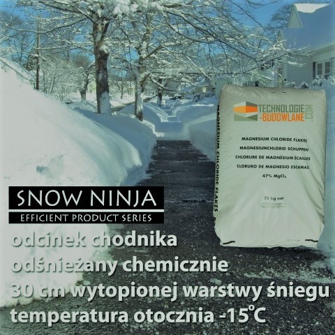 Polska - odśnieżony chodnik  ;)