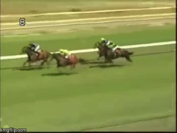 Konie są zdecydowanie szybsze od człowieka