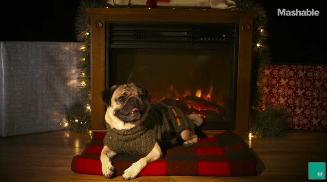 Klasyczny ciepły sweter na długie zimowe wieczory...