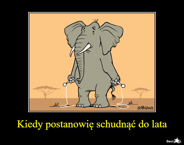Schudnę o 5 kg do lipca... tylko którego?