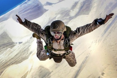 Zwierzaki lubią zabawe. Tak jak ludzie